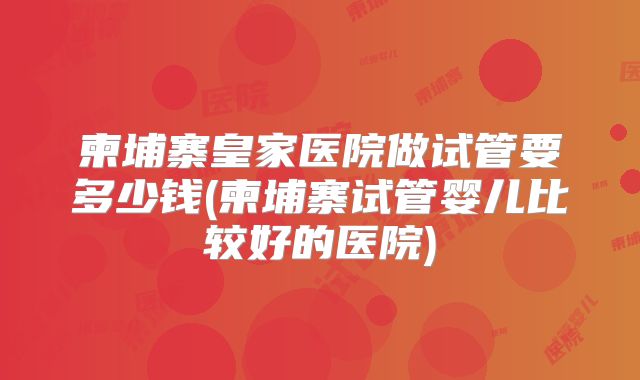 柬埔寨皇家医院做试管要多少钱(柬埔寨试管婴儿比较好的医院)