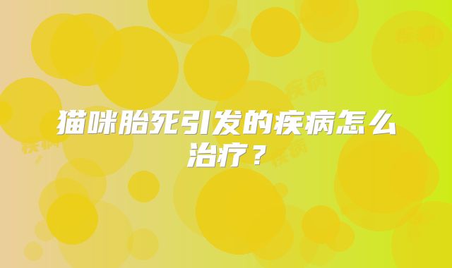 猫咪胎死引发的疾病怎么治疗？