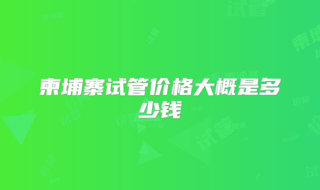 柬埔寨试管价格大概是多少钱