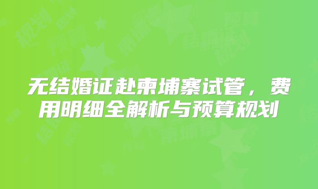 无结婚证赴柬埔寨试管，费用明细全解析与预算规划