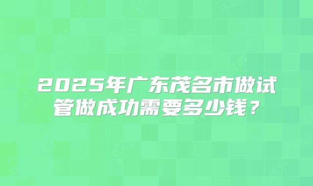 2025年广东茂名市做试管做成功需要多少钱？