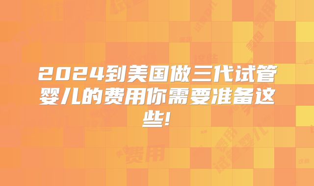 2024到美国做三代试管婴儿的费用你需要准备这些!