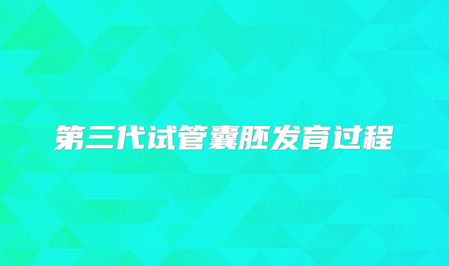 第三代试管囊胚发育过程