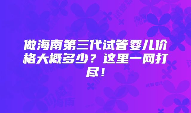 做海南第三代试管婴儿价格大概多少?这里一网打尽!