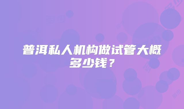 普洱私人机构做试管大概多少钱?