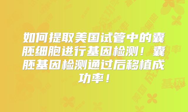 如何提取美国试管中的囊胚细胞进行基因检测！囊胚基因检测通过后移植成功率！