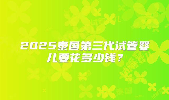 2025泰国第三代试管婴儿要花多少钱？