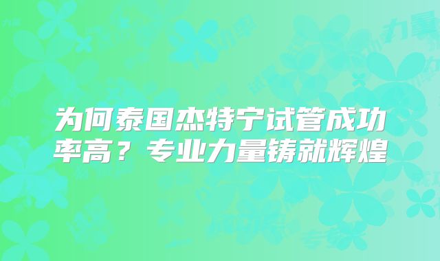 为何泰国杰特宁试管成功率高?专业力量铸就辉煌