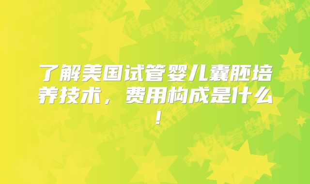 了解美国试管婴儿囊胚培养技术，费用构成是什么！