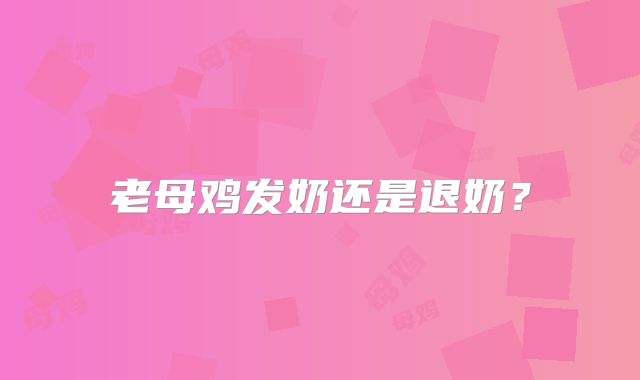 老母鸡发奶还是退奶？