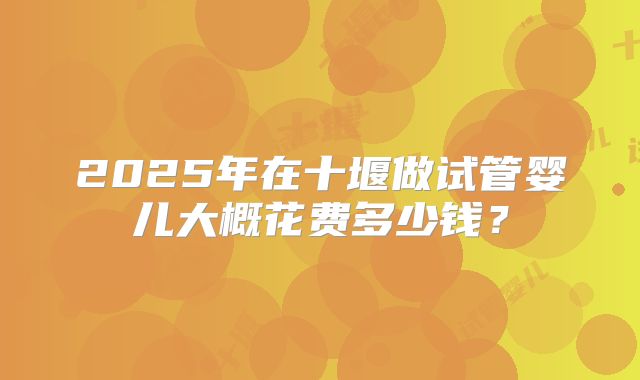 2025年在十堰做试管婴儿大概花费多少钱？