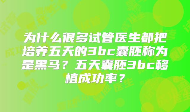 为什么很多试管医生都把培养五天的3bc囊胚称为是黑马？五天囊胚3bc移植成功率？