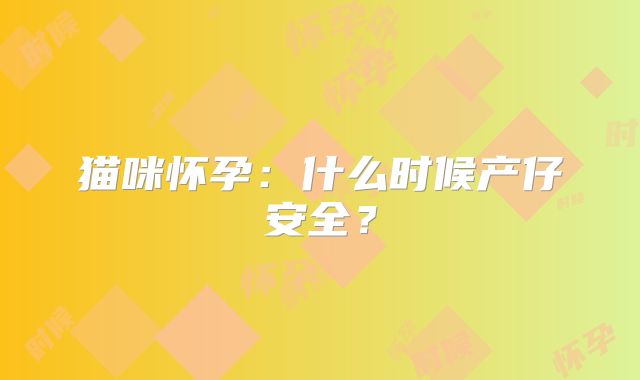 猫咪怀孕：什么时候产仔安全？