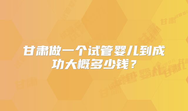 甘肃做一个试管婴儿到成功大概多少钱？