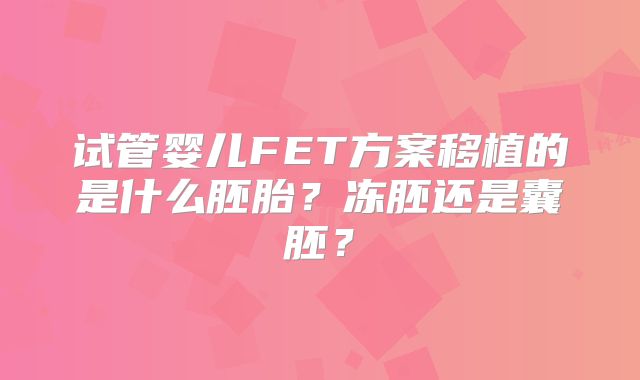 试管婴儿FET方案移植的是什么胚胎？冻胚还是囊胚？