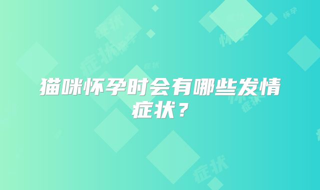 猫咪怀孕时会有哪些发情症状？