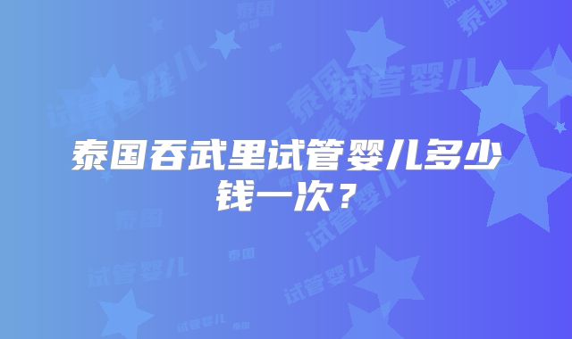 泰国吞武里试管婴儿多少钱一次？