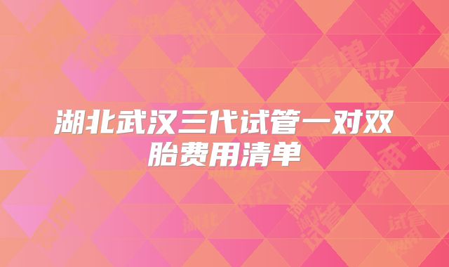 湖北武汉三代试管一对双胎费用清单