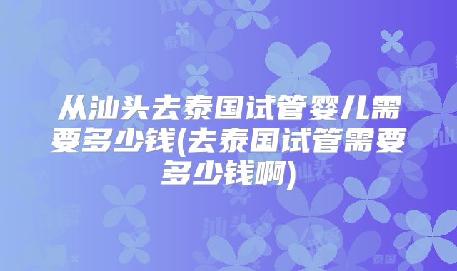 从汕头去泰国试管婴儿需要多少钱(去泰国试管需要多少钱啊)