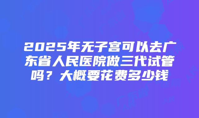 2025年无子宫可以去广东省人民医院做三代试管吗?大概要花费多少钱
