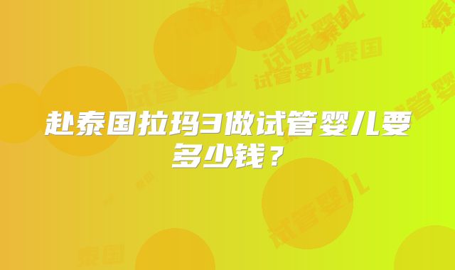 赴泰国拉玛3做试管婴儿要多少钱？