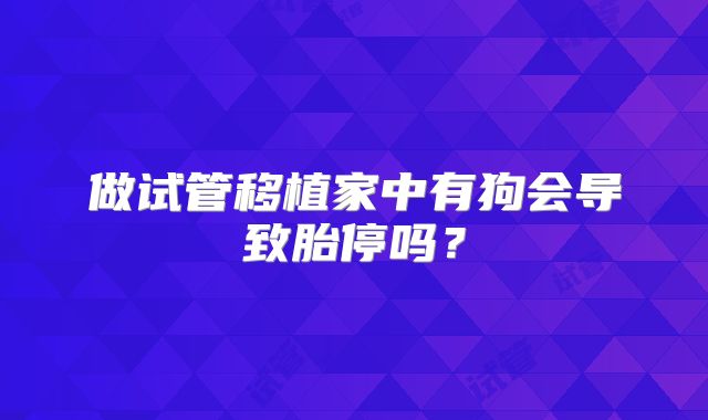 做试管移植家中有狗会导致胎停吗？