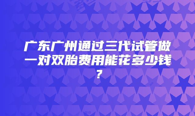广东广州通过三代试管做一对双胎费用能花多少钱?
