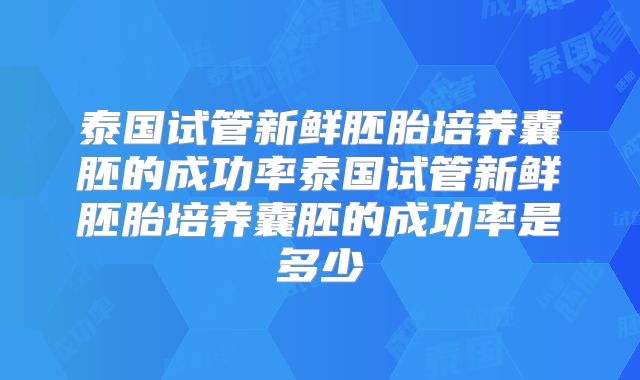 泰国试管新鲜胚胎培养囊胚的成功率泰国试管新鲜胚胎培养囊胚的成功率是多少