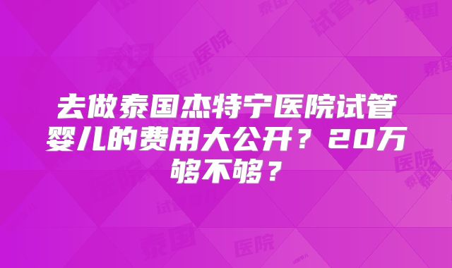 去做泰国杰特宁医院试管婴儿的费用大公开？20万够不够？