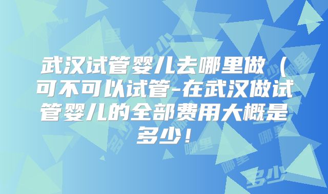 武汉试管婴儿去哪里做（可不可以试管-在武汉做试管婴儿的全部费用大概是多少！