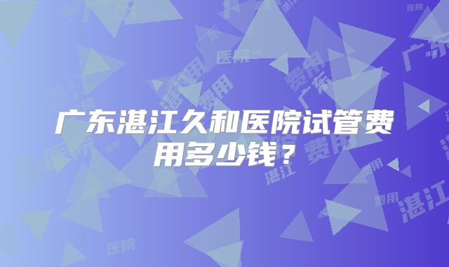 广东湛江久和医院试管费用多少钱？