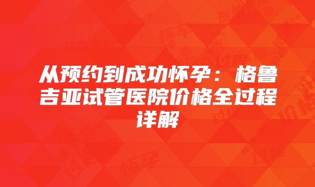 从预约到成功怀孕：格鲁吉亚试管医院价格全过程详解