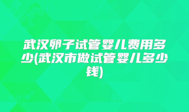 武汉卵子试管婴儿费用多少(武汉市做试管婴儿多少钱)