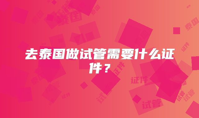 去泰国做试管需要什么证件?