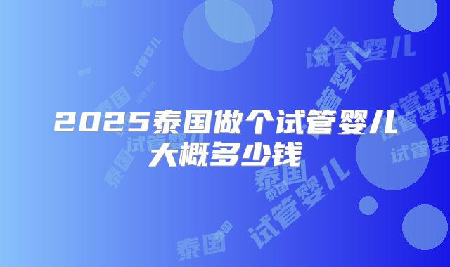 2025泰国做个试管婴儿大概多少钱