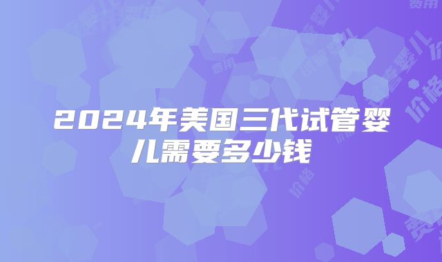 2024年美国三代试管婴儿需要多少钱