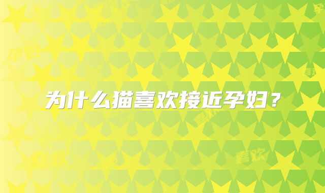 为什么猫喜欢接近孕妇？