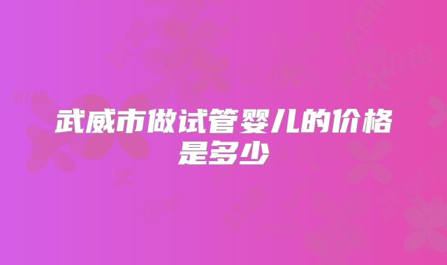 武威市做试管婴儿的价格是多少