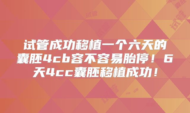 试管成功移植一个六天的囊胚4cb容不容易胎停！6天4cc囊胚移植成功！
