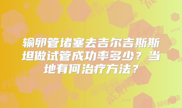 输卵管堵塞去吉尔吉斯斯坦做试管成功率多少？当地有何治疗方法？
