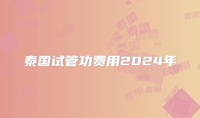 泰国试管功费用2024年