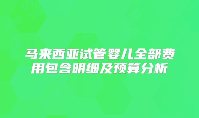 马来西亚试管婴儿全部费用包含明细及预算分析