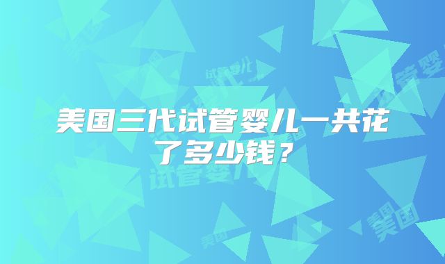 美国三代试管婴儿一共花了多少钱？
