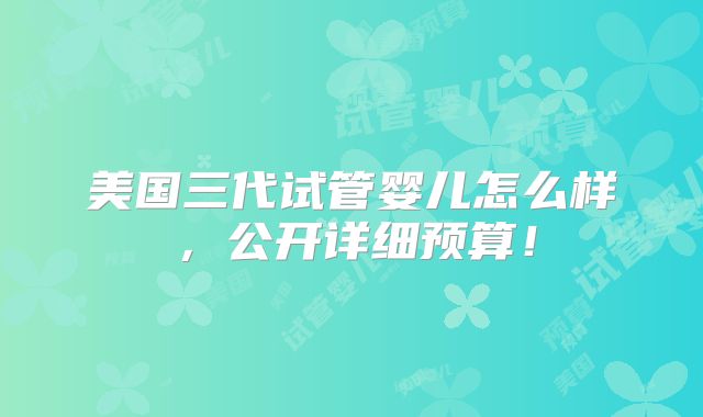 美国三代试管婴儿怎么样，公开详细预算！