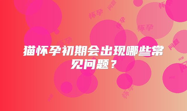 猫怀孕初期会出现哪些常见问题？