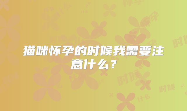 猫咪怀孕的时候我需要注意什么？