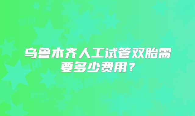 乌鲁木齐人工试管双胎需要多少费用？