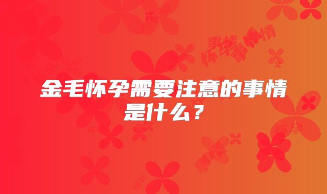 金毛怀孕需要注意的事情是什么？
