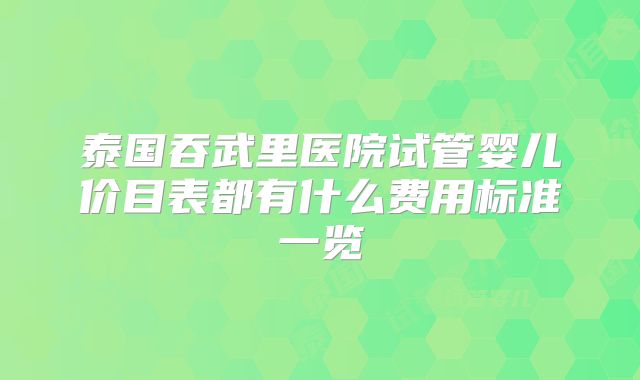 泰国吞武里医院试管婴儿价目表都有什么费用标准一览
