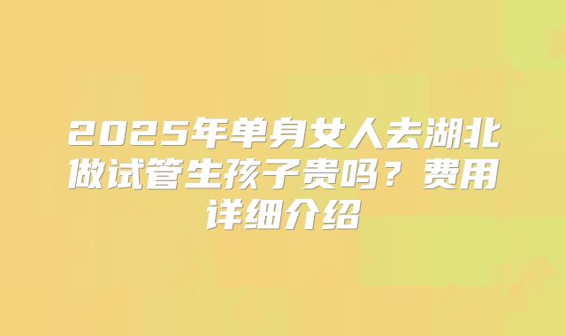 2025年单身女人去湖北做试管生孩子贵吗?费用详细介绍